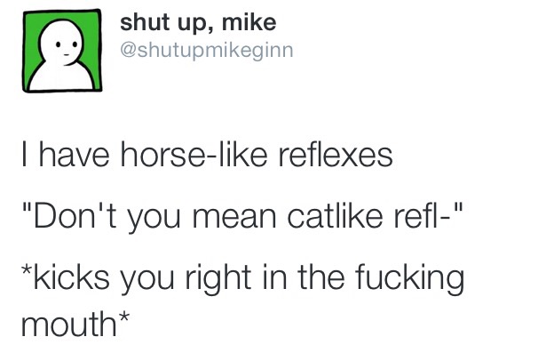 horse like reflexes meme - shut up, mike Thave horse reflexes "Don't you mean cat refl" kicks you right in the fucking mouth