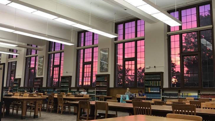 sunset library