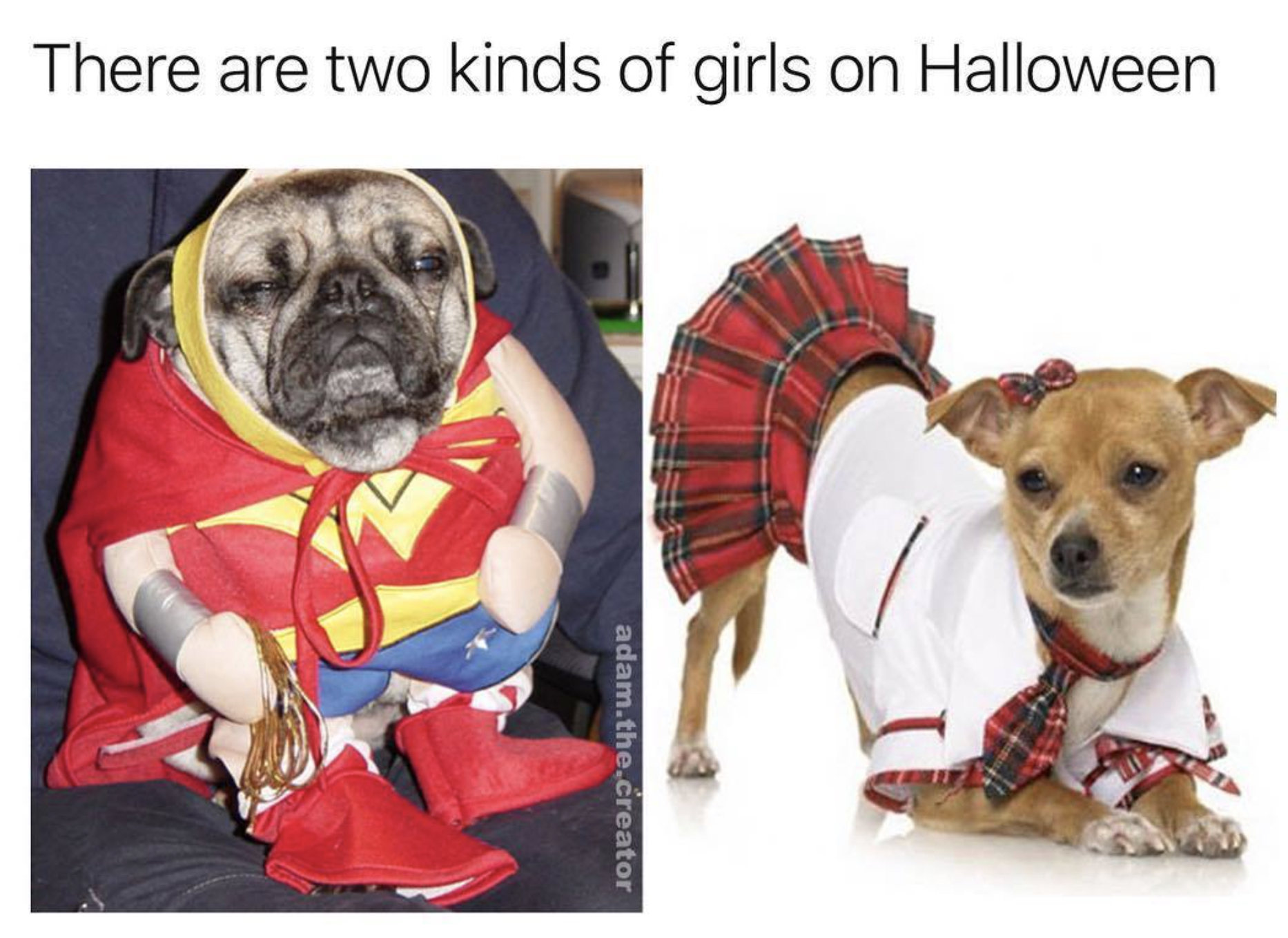 There are two kinds of girls on Halloween adam.the.creator