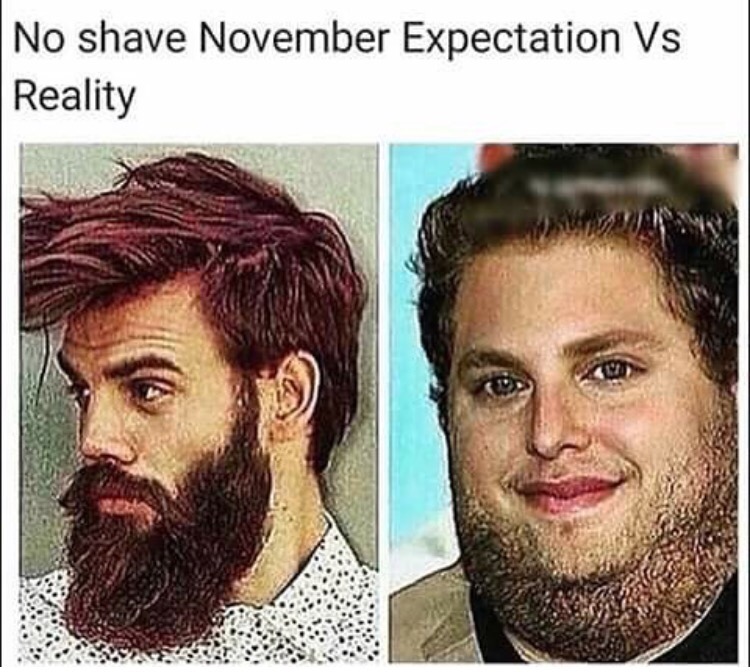 no shave november jokes - No shave November Expectation Vs Reality