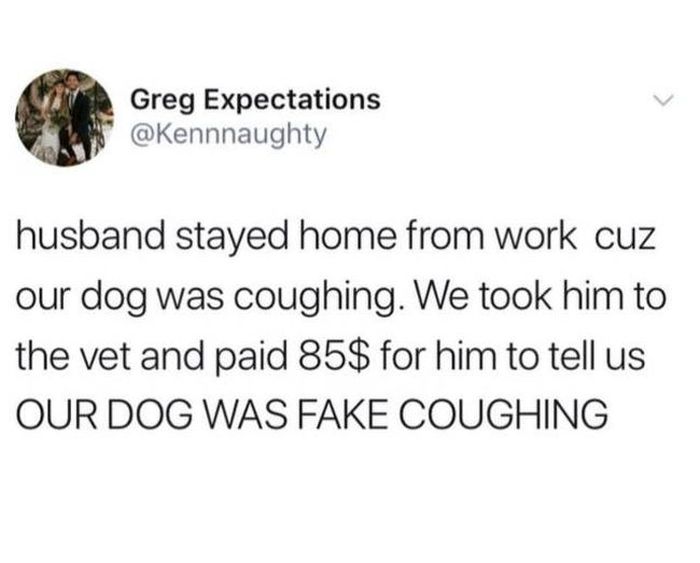 white people love saying memes - Greg Expectations husband stayed home from work cuz our dog was coughing. We took him to the vet and paid 85$ for him to tell us Our Dog Was Fake Coughing