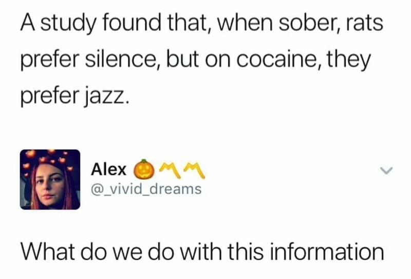 tweet about how sober rats prefer silence but on cocaine prefer jazz and wondering what we do with this info