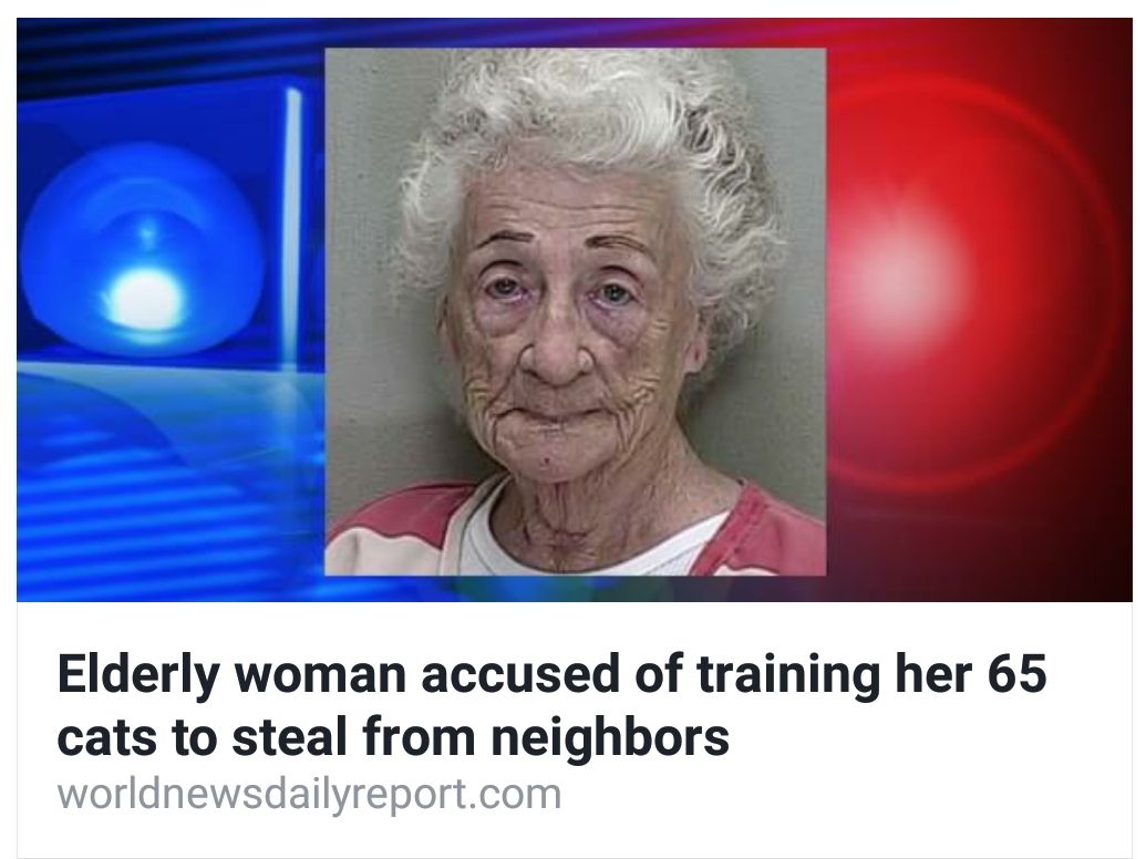 Mug shot of elderly woman accused of training her 65 cats to steal from neighbords