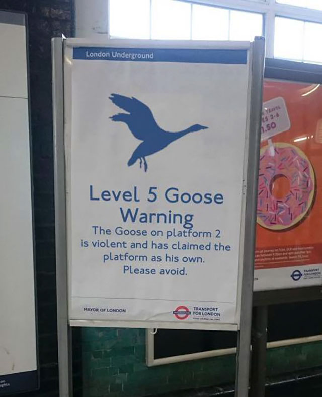 Level 5 warning about goose on one of the train platforms