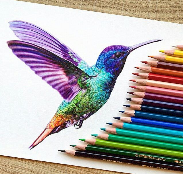 hummingbird colored pencil - Stabilo aquacolor