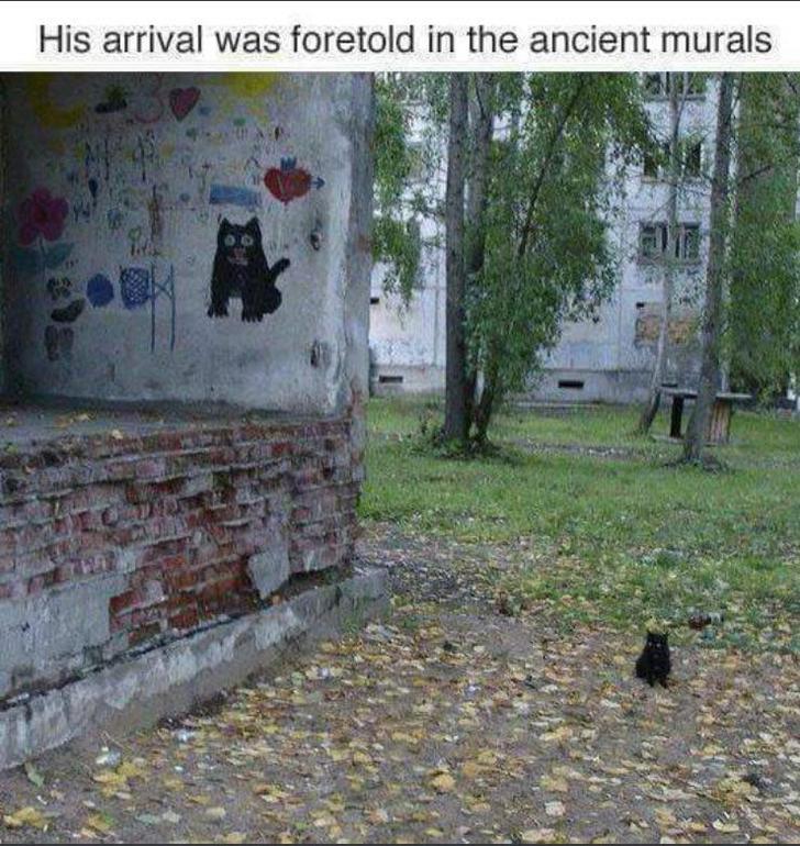 cat prophecy meme - His arrival was foretold in the ancient murals