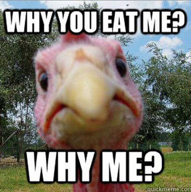 thanksgiving memes - Why You Eat Me? Why Me? quickmeme.com