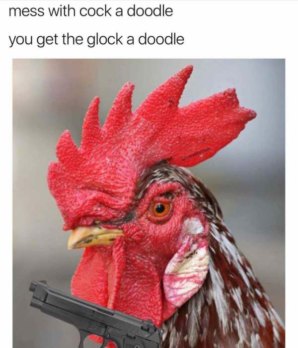 random pic glock a doodle doo - mess with cock a doodle you get the glock a doodle