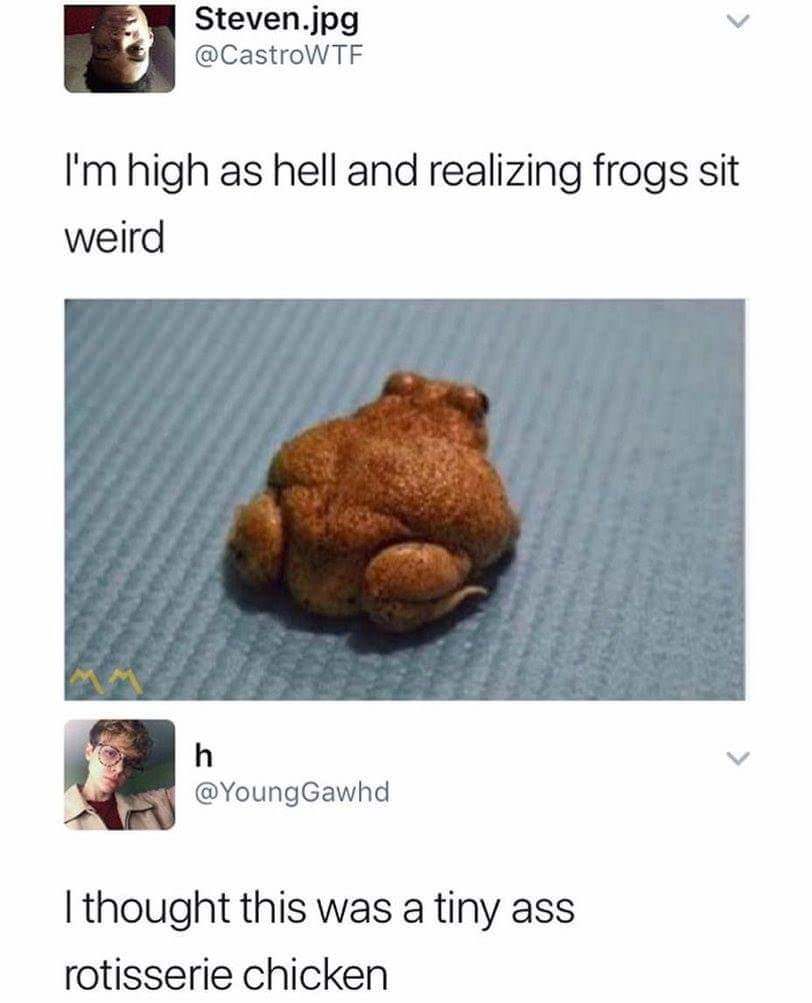 frogs sit weird meme - Steven.jpg I'm high as hell and realizing frogs sit weird I thought this was a tiny ass rotisserie chicken