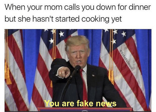 you are fake news memes - When your mom calls you down for dinner but she hasn't started cooking yet BetaSalmon You are fake news