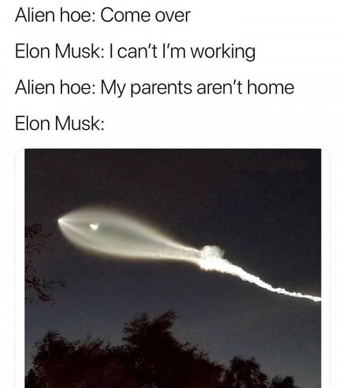 musky boi - Alien hoe Come over Elon Musk I can't I'm working Alien hoe My parents aren't home Elon Musk