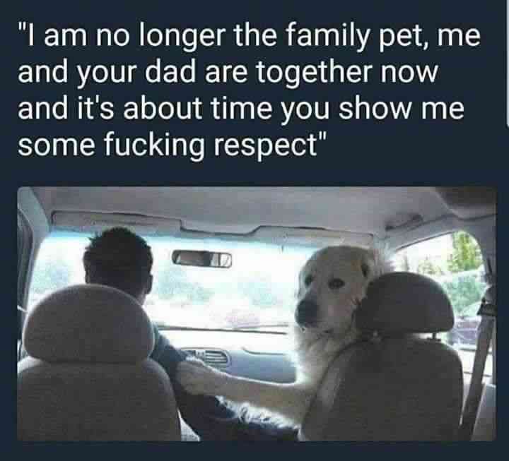 am no longer family pet meme - "I am no longer the family pet, me and your dad are together now and it's about time you show me some fucking respect"