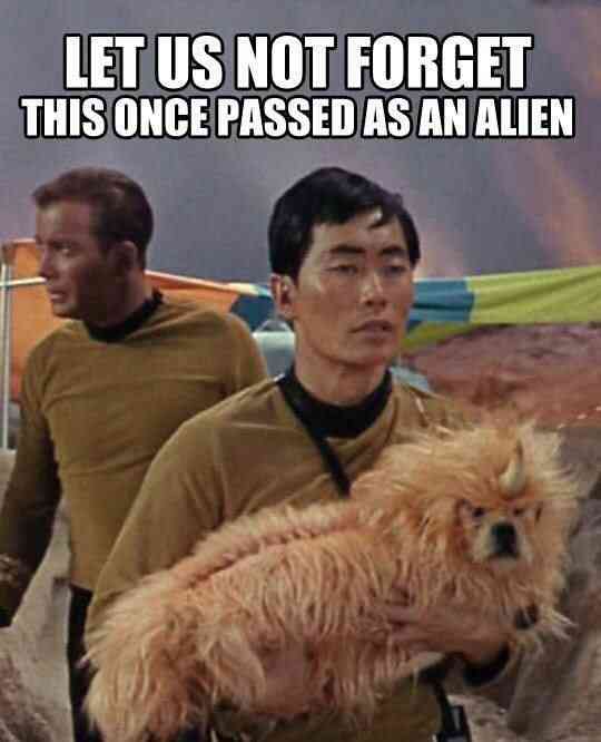star trek dog - Let Us Not Forget This Once Passed As An Alien