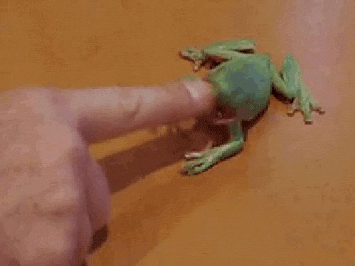 frog bites