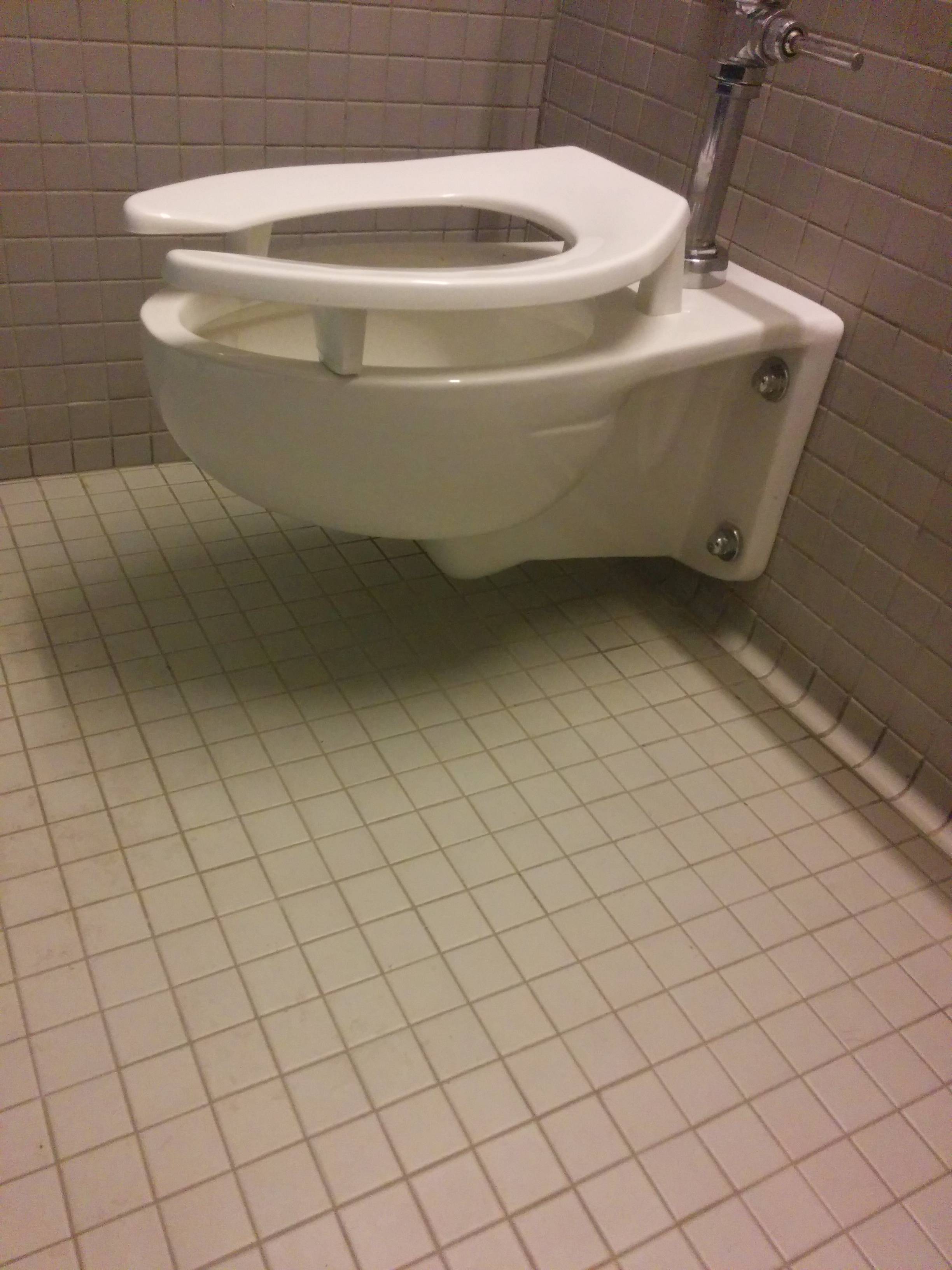 big dick problems toilet