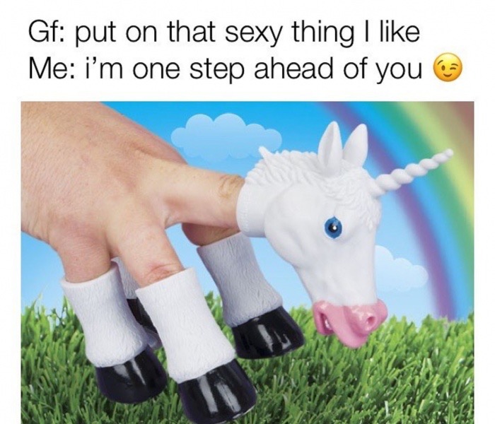 dank meme unicorn hand puppet - Gf put on that sexy thing I Me i'm one step ahead of you