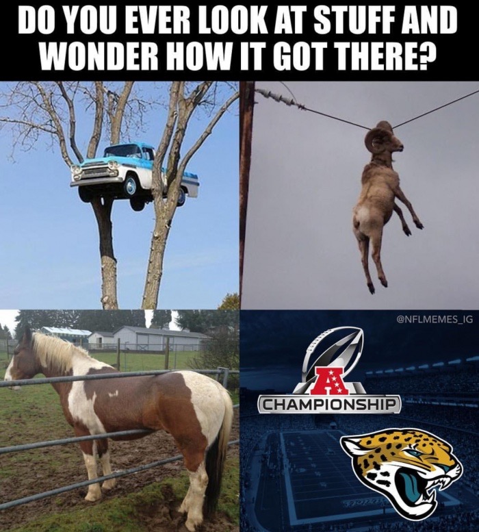 dank meme do you ever look at things and wonder how they got there - Do You Ever Look At Stuff And Wonder How It Got There? Championship
