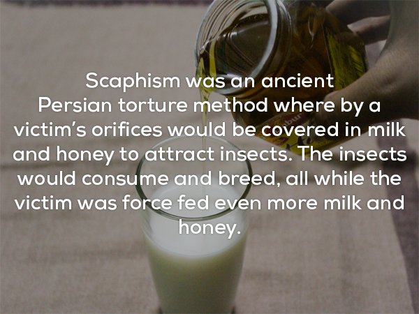 facts creepy - Scaphism was an ancient Persian torture method where by a victim's orifices would be covered in milk and honey to attract insects. The insects would consume and breed, all while the victim was force fed even more milk and honey.