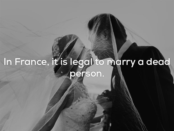 wedding photo black and white - In France, it is legal to marry a dead person.