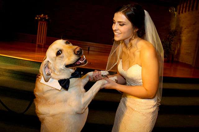 marriage with dog