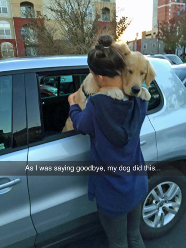 saying goodbye to dog - As I was saying goodbye, my dog did this...