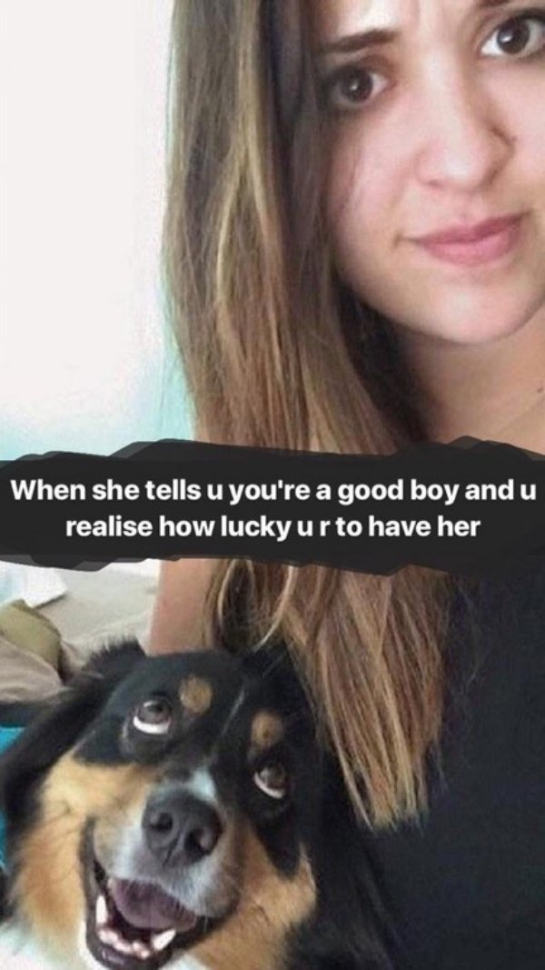 wholesome dog memes - When she tells u you're a good boy and u realise how lucky ur to have her