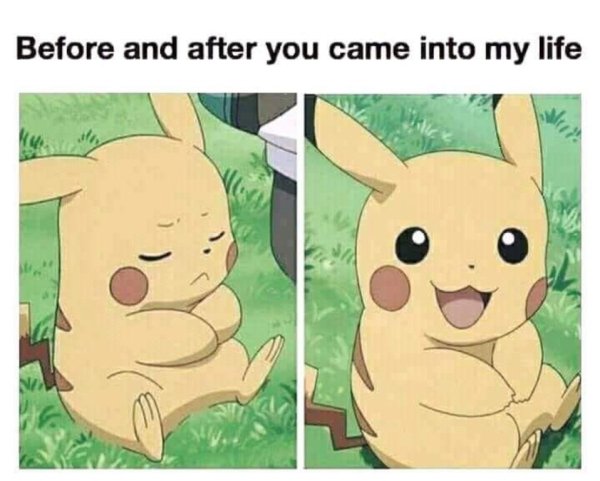 wholesome meme - Before and after you came into my life