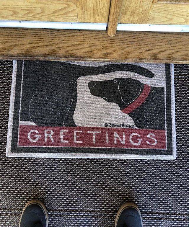 dog sniffing welcome doormat