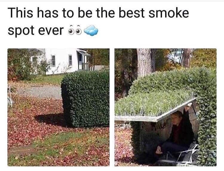 best smoke spot ever meme - This has to be the best smoke spot ever go