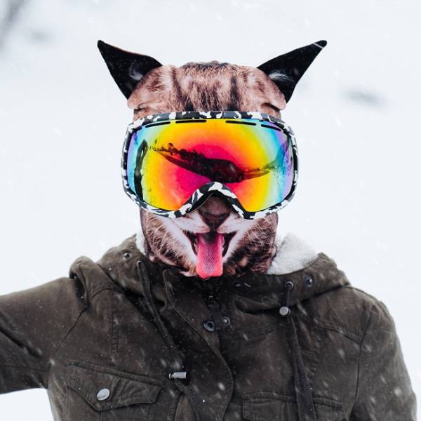 cat face mask ski