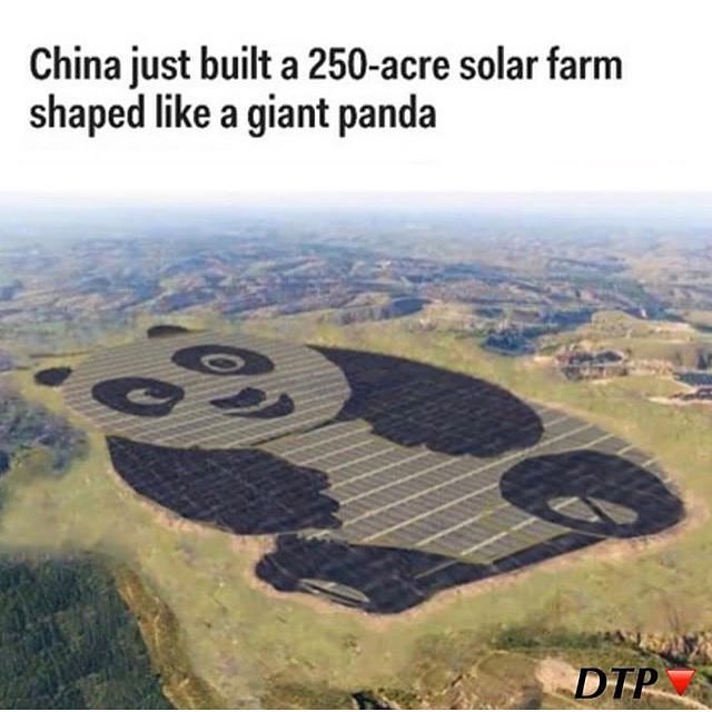 panda solar panel farm - China just built a 250acre solar farm shaped a giant panda Dip