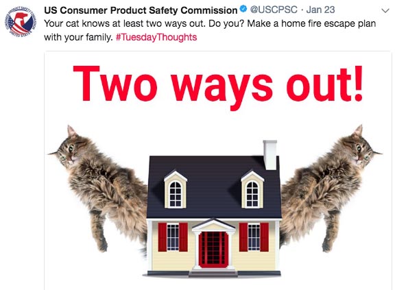 Your cat knows at least two ways out. Do you? Make a home fire escape plan with your family. Two ways out!