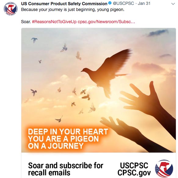 woman praying and free bird - Us Consumer Product Safety Commission . Jan 31 Because your journey is just beginning, young pigeon. Soar. Not To GiveUp cpsc.govNewsroomSubsc... Deep In Your Heart You Are A Pigeon On A Journey Soar and subscribe for recall
