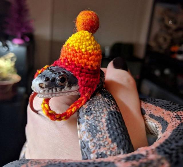 crochet hat for snake