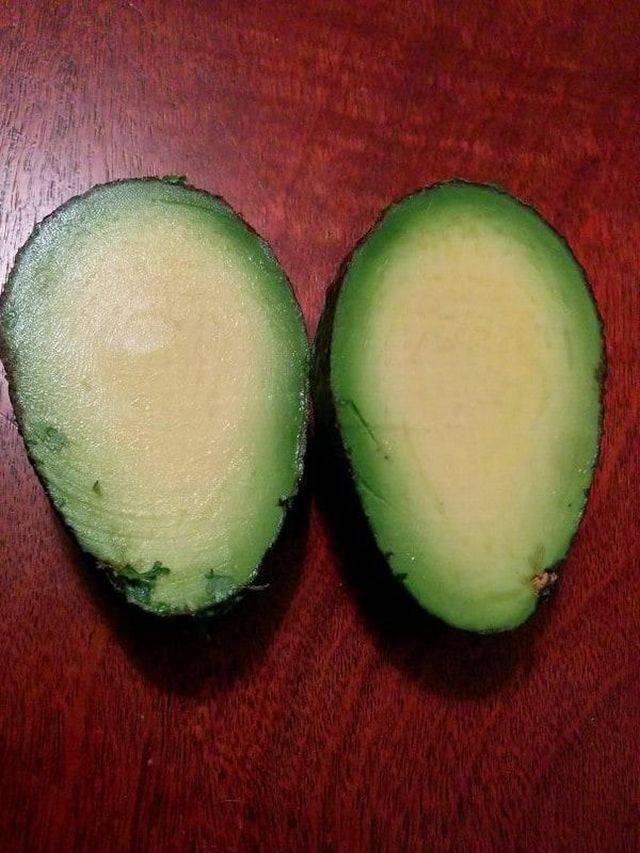 avocado without seed