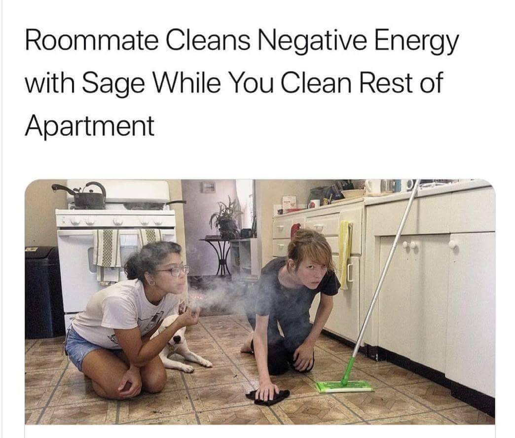 pet - Roommate Cleans Negative Energy with Sage While You Clean Rest of Apartment