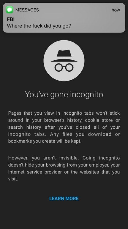 funny picture of someone putting on incognito and the FBI texts looking for them