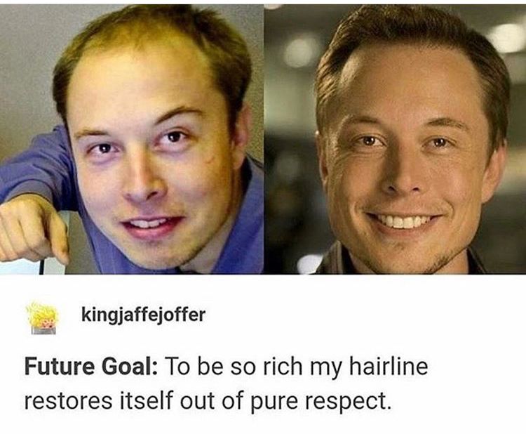 elon musk bald meme - kingjaffejoffer Future Goal To be so rich my hairline restores itself out of pure respect.