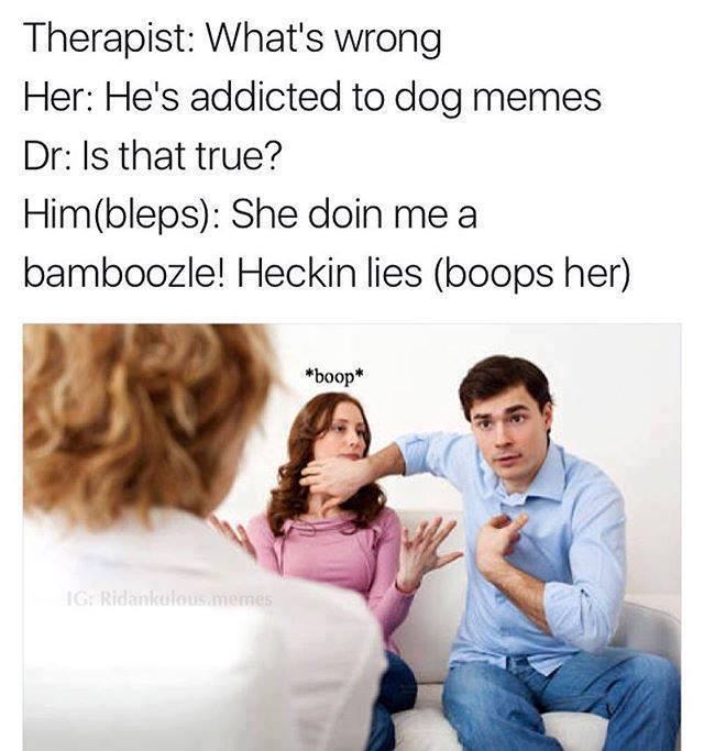 him her memes - Therapist What's wrong Her He's addicted to dog memes Dr Is that true? Himbleps She doin me a bamboozle! Heckin lies boops her boop Ig Ridankulousamemes