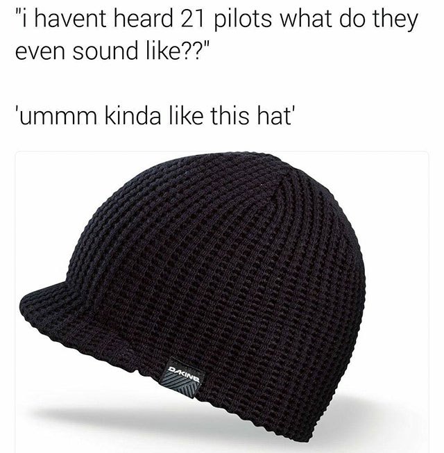 21 pilots beanie meme - "i havent heard 21 pilots what do they even sound ??" 'ummm kinda this hat' Daking Wa
