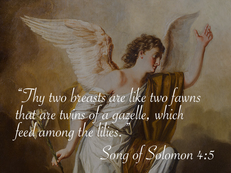 bible verse sex memes - Thy two breasts are two fawns that are twins of a gazelle, which feed among the lilies. Song of Solomon