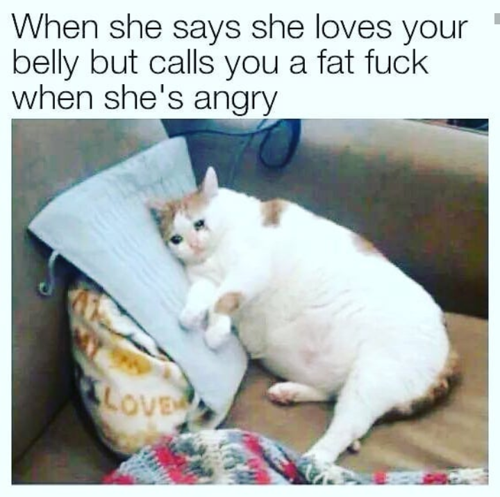 fat fuck cat - When she says she loves your belly but calls you a fat fuck when she's angry