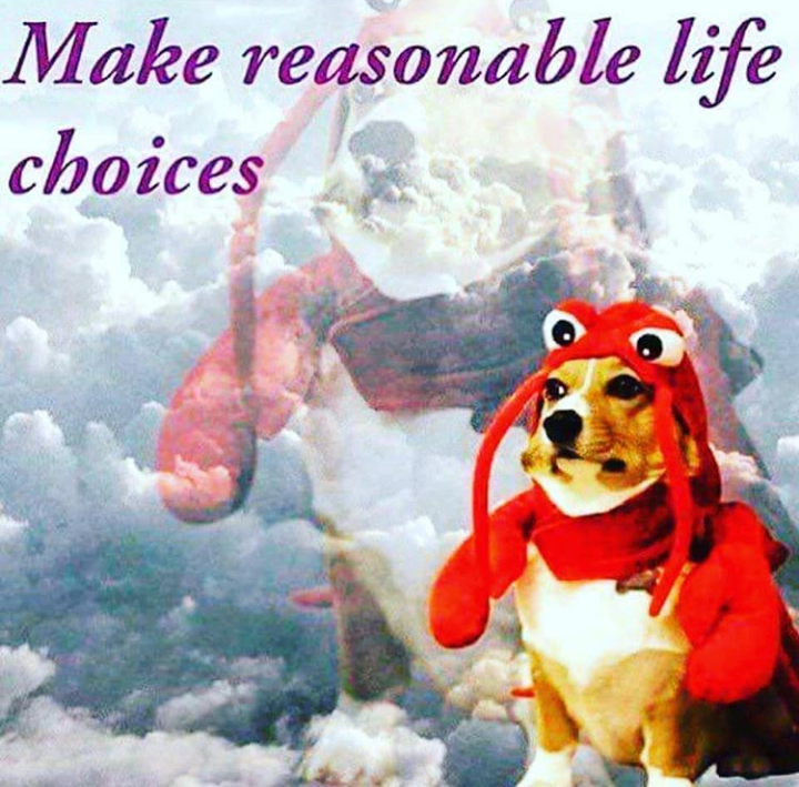 make reasonable life choices - Make reasonable life choices