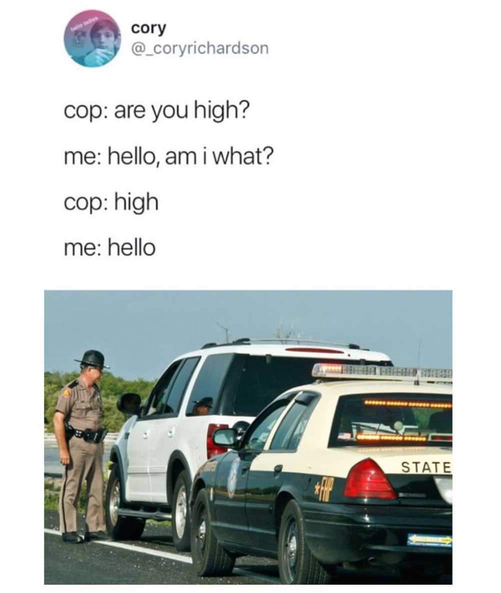 you high cop meme - corporyrichardson cory cop are you high? me hello, am i what? cop high me hello State