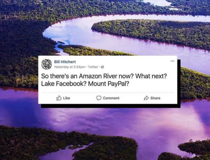 29 Fresh Pics That Will Entertain and Amuse You