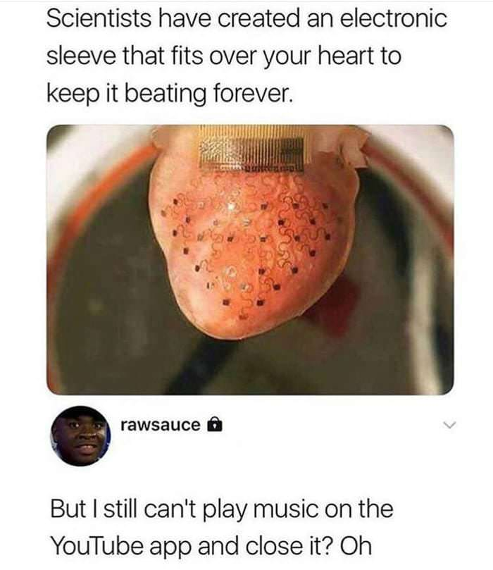 chicken brent meme - Scientists have created an electronic sleeve that fits over your heart to keep it beating forever. rawsauce But I still can't play music on the YouTube app and close it? Oh