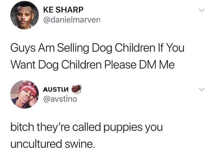 dog children meme - Ke Sharp Guys Am Selling Dog Children If You Want Dog Children Please Dm Me UTi bitch they're called puppies you uncultured swine.