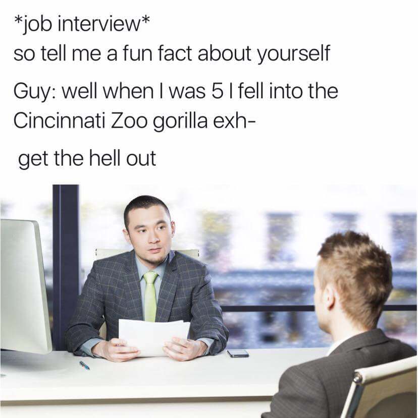 cool job interview meme - job interview so tell me a fun fact about yourself Guy well when I was 5 I fell into the Cincinnati Zoo gorilla exh get the hell out