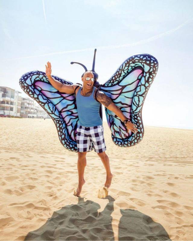 cool dwayne johnson butterfly