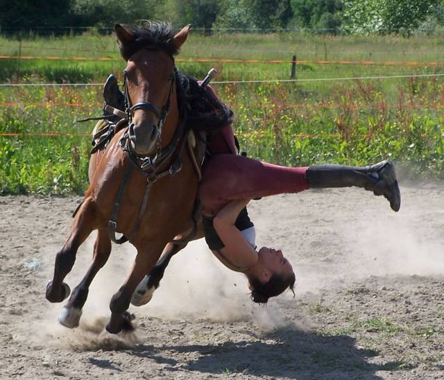 carefree funny pics of - horse riding tricks